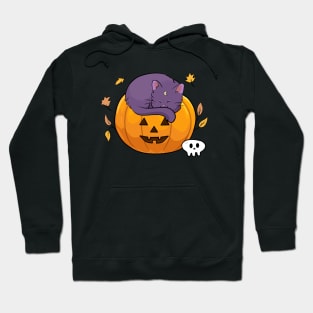 Halloween kitty with pumkin Hoodie